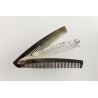 Grand Prague (Horn comb)