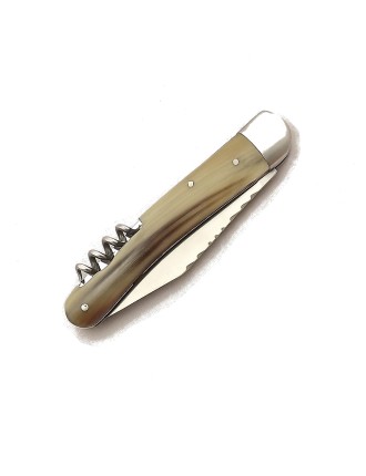 Pocket knife "Massu"