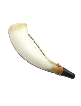 Corne d'appel 25cm