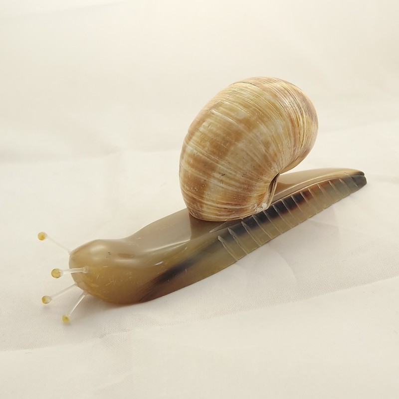 Decorative snail
