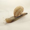 Escargot décoratif en corne