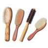 Other brushes