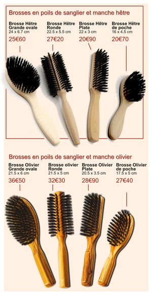 Gamme de brosses en poils de sanglier