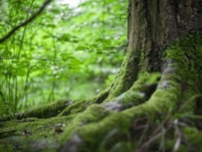 Bilan de nos mesures écologiques